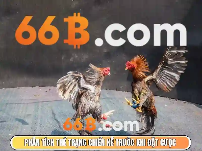 Kiến trúc và cơ sở dữ liệu