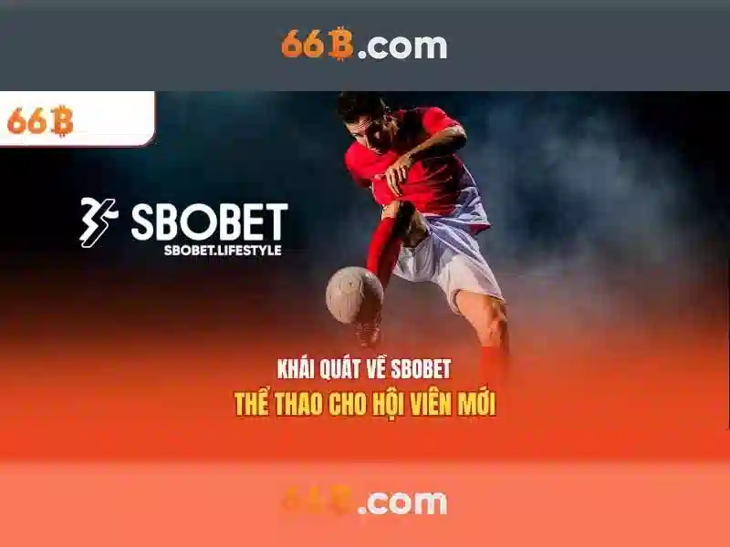 Giao diện nhà cái hoàn hảo