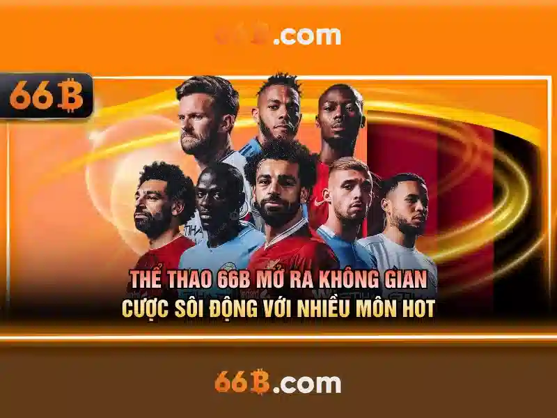 Đặc điểm nổi bật của 66b