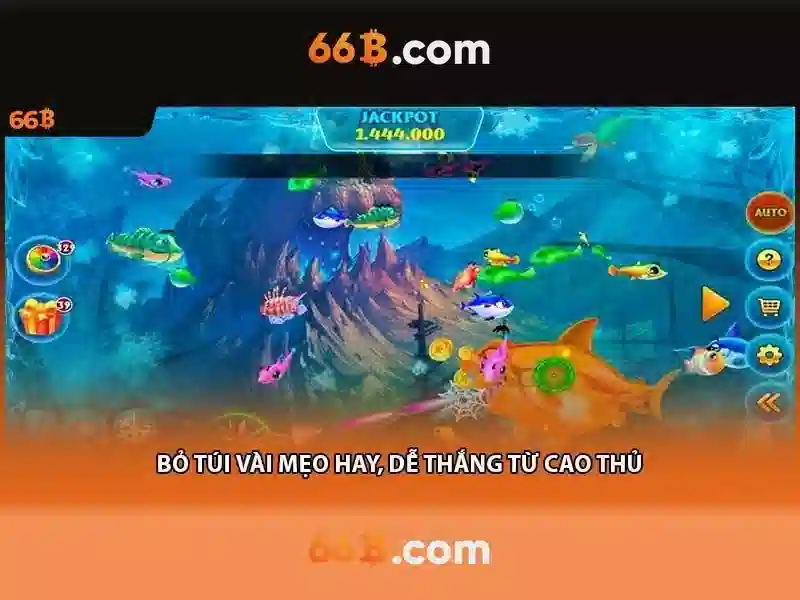 66B là gì và vì sao quan trọng