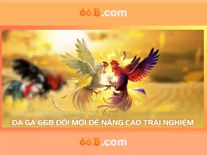 Đặc điểm hoạt động của 66B