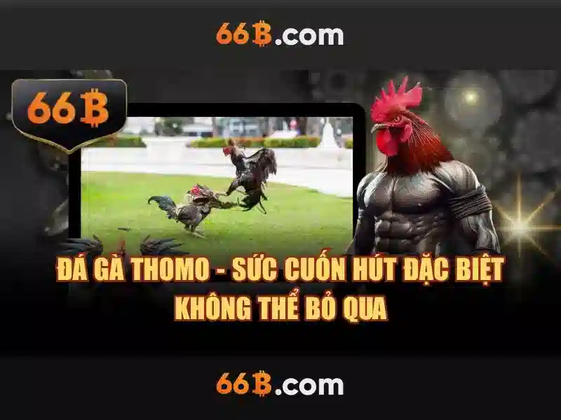 Kiến trúc và kích thước