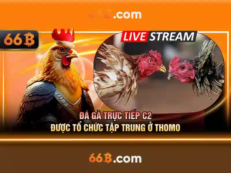66B: Khái niệm và ứng dụng của mô hình ngôn ngữ 66 tỷ tham số Giao diện nhà cái hoàn hảo