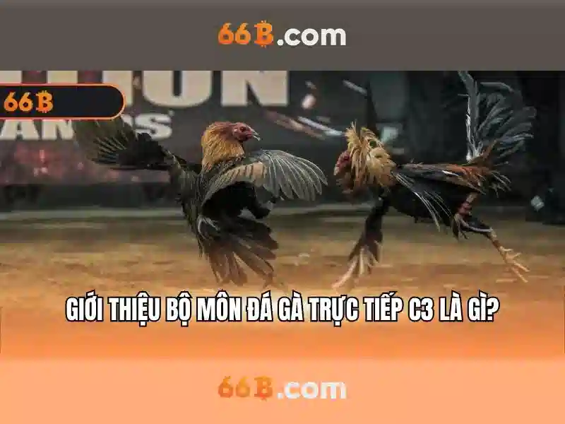 Giao diện nhà cái hoàn hảo
