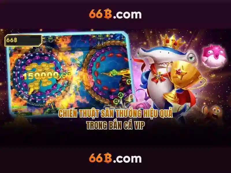 66B là gì?