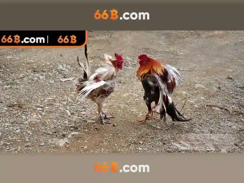 Thách thức và rào cản đạo đức