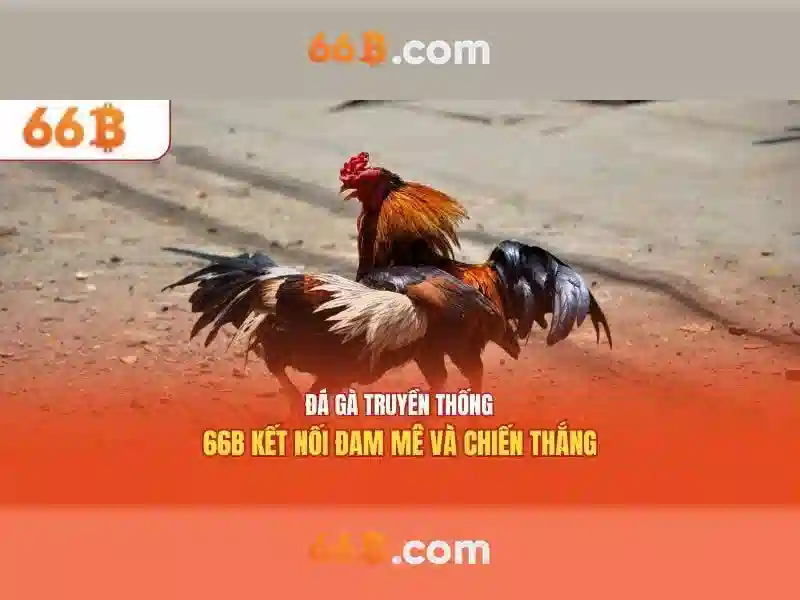 Tương lai của 66b