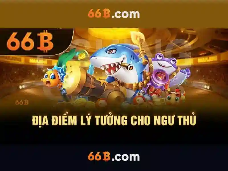66B là gì?