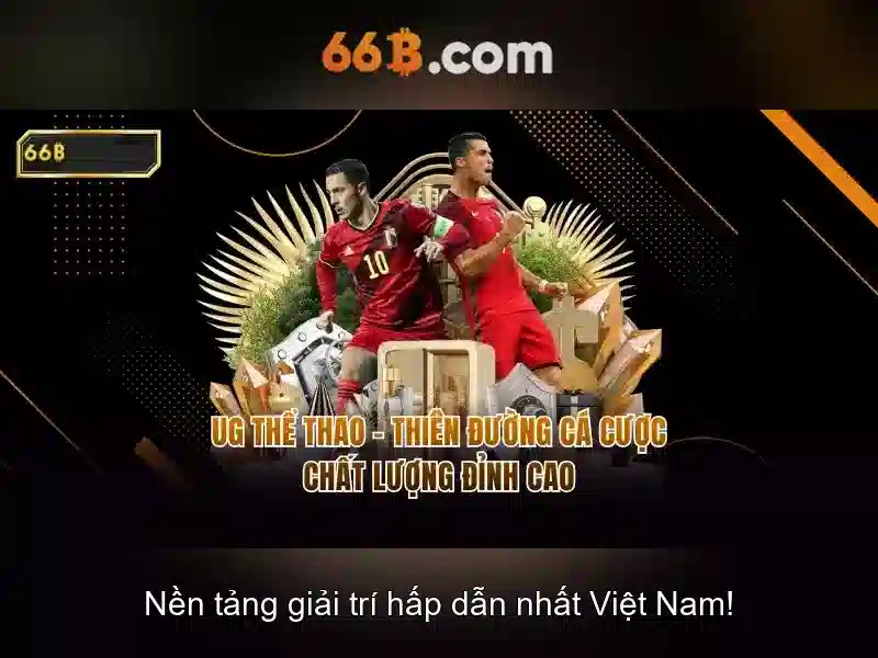 Ứng dụng của 66B trong ngành và doanh nghiệp