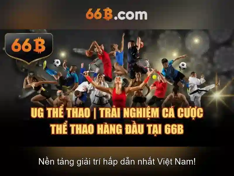 66B: Quy mô và mục tiêu