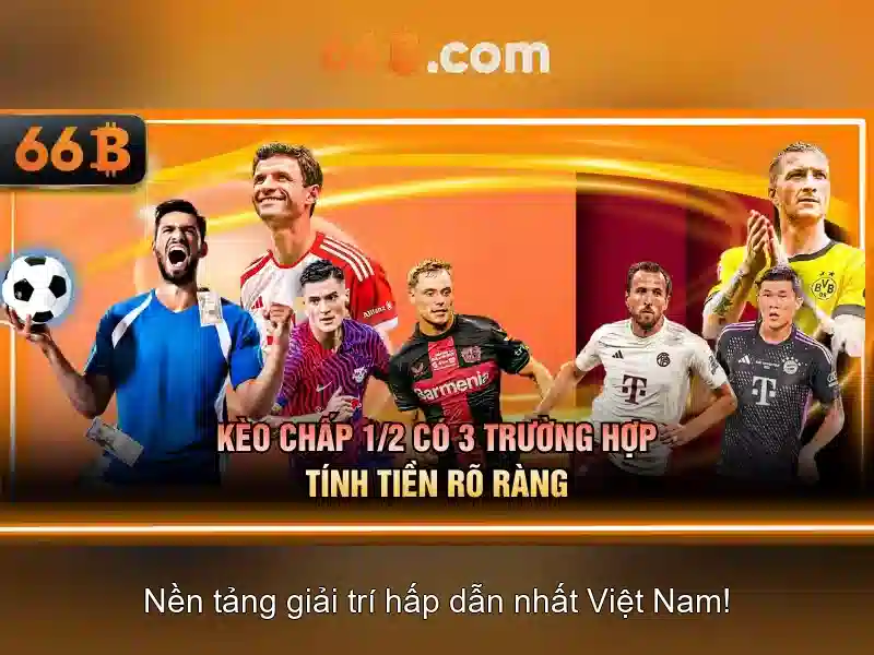 Khả năng tóm lược và trả lời câu hỏi