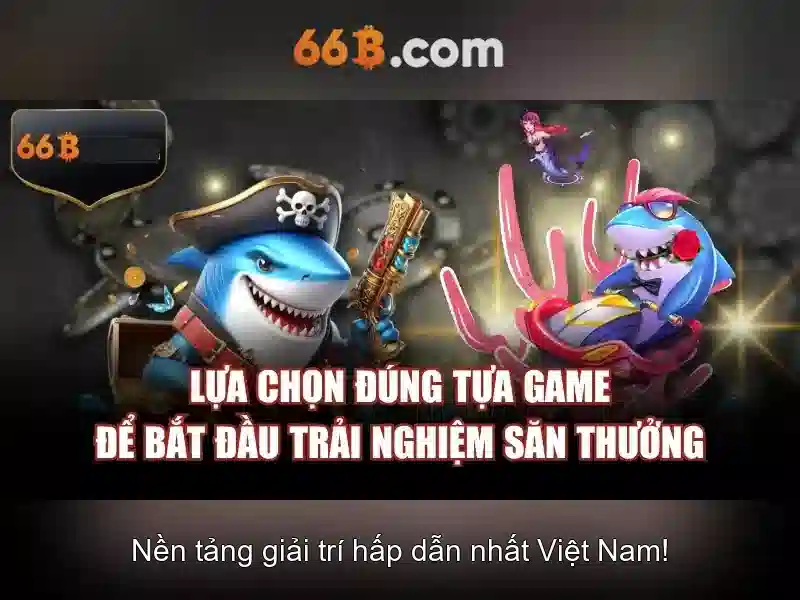 Khía cạnh áp dụng của 66b