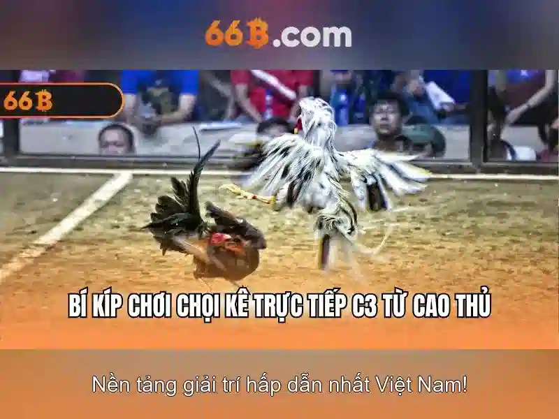 66b và sự tò mò quanh nó