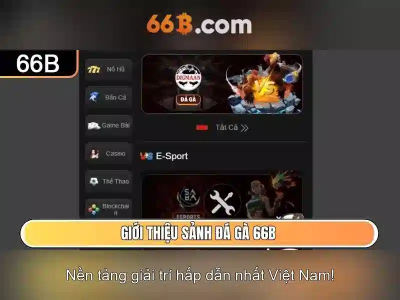 Đặc điểm nổi bật của 66B