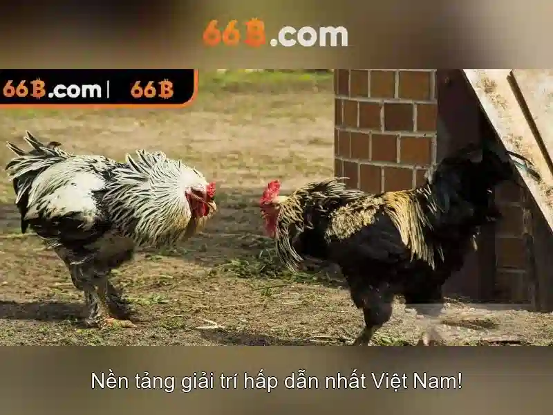 66B: Mô hình ngôn ngữ lớn và tương lai của trí tuệ nhân tạo Giao diện nhà cái hoàn hảo