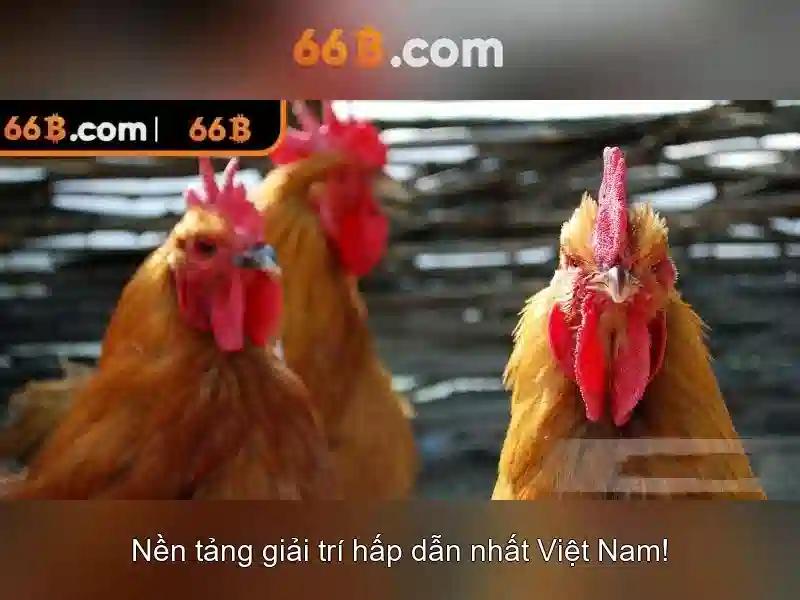 Kiến trúc và tham số