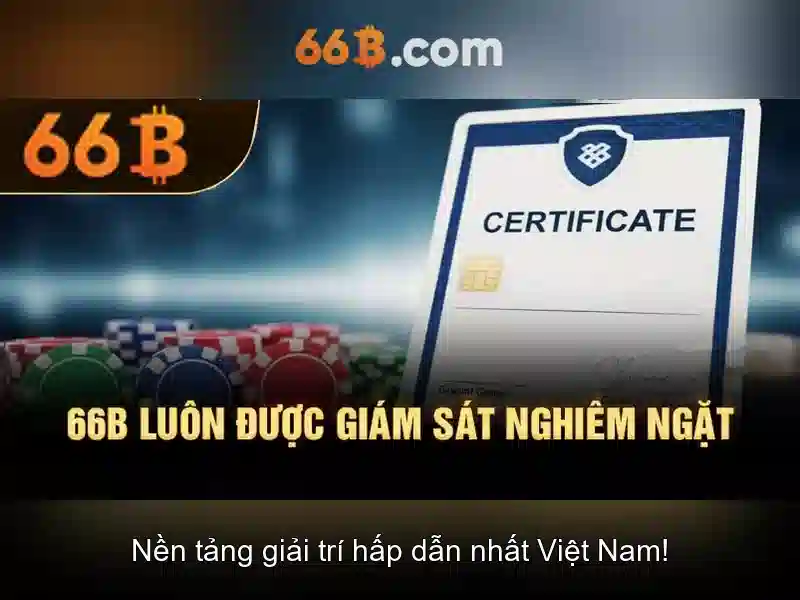 66B là gì?