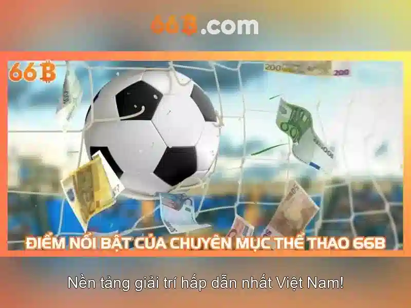 Quy mô và hiệu suất