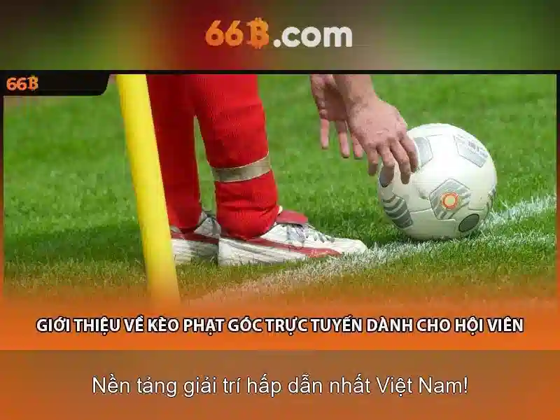Kiến trúc và cách đào tạo