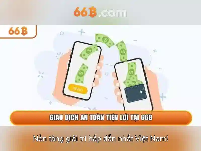 66B là gì?