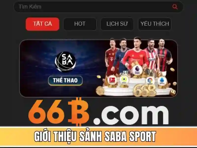 66b là một khái niệm trong công nghệ