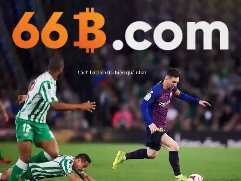 Giới thiệu về 66B
